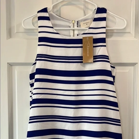 NWT Everly Francesca's Striped Navy Blue and White Sleeveless Dress - Size Small - Picture 4 of 12